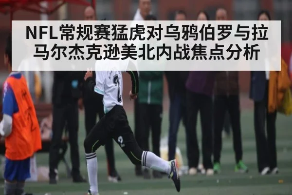 NFL常规赛猛虎对乌鸦伯罗与拉马尔杰克逊美北内战焦点分析